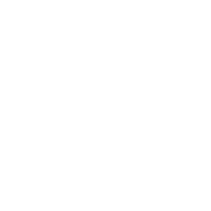 Icon_Video 125